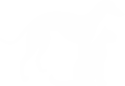 Cementerio de Mascotas Mi Fiel Amigo